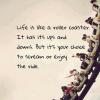 Life is like a roller coaster. It has it